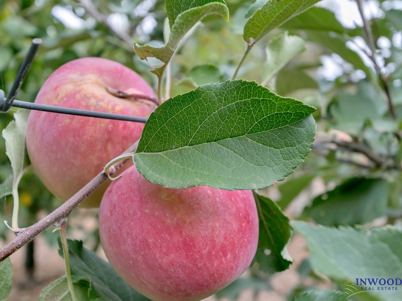 173 Murray Road, Keyneton SA 5353