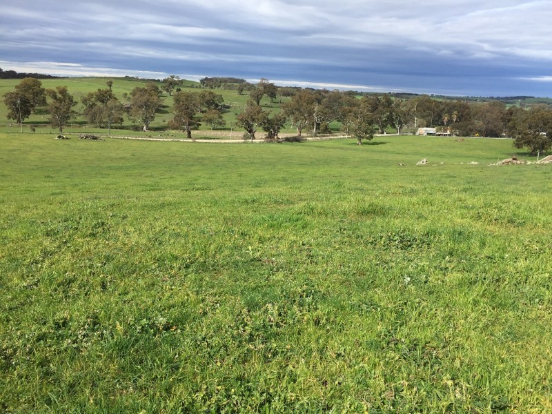 159 Eden Valley Road, Springton SA 5235