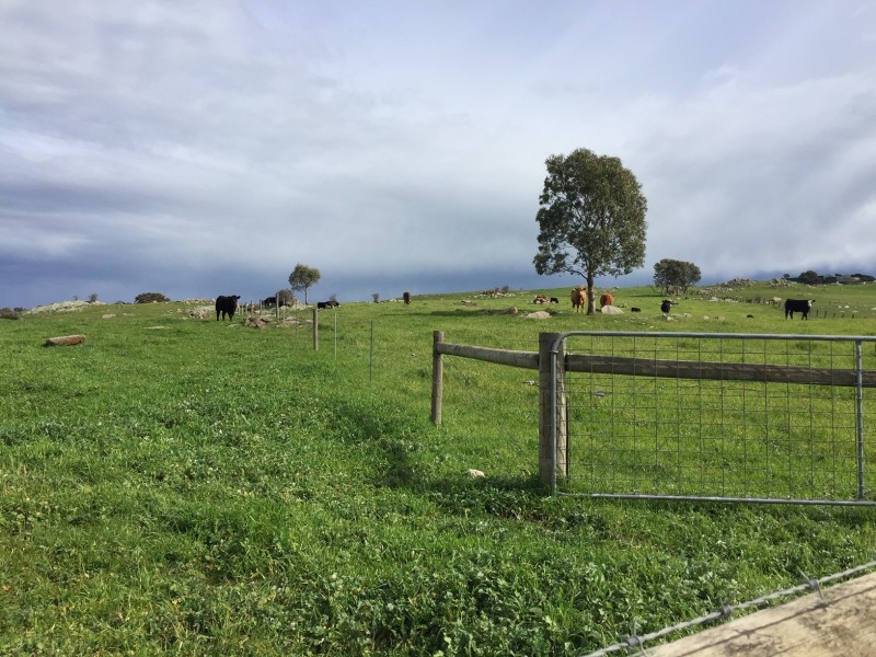 159 Eden Valley Road, Springton SA 5235