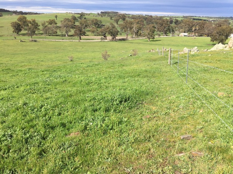 159 Eden Valley Road, Springton SA 5235