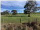 159 Eden Valley Road, Springton SA 5235