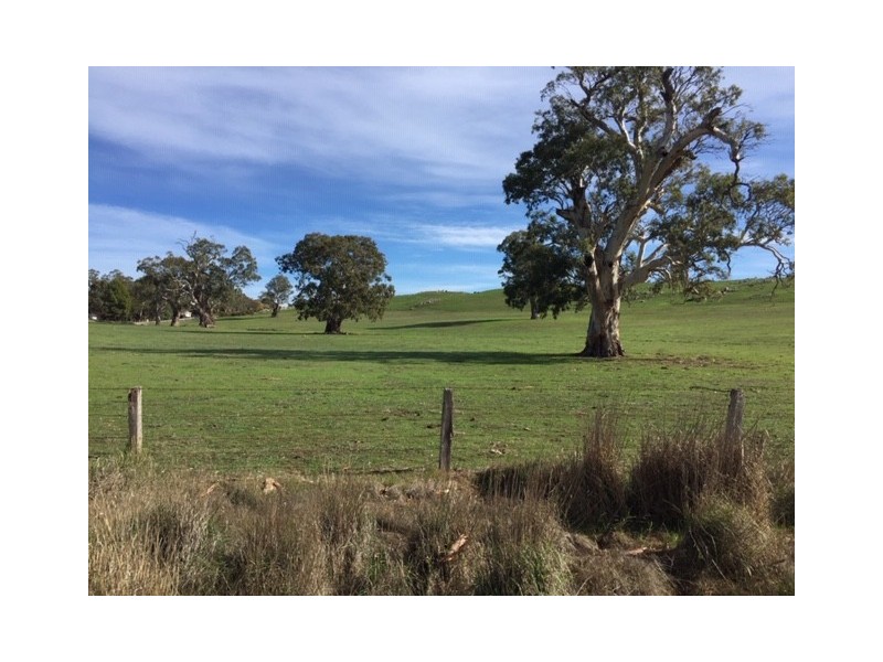159 Eden Valley Road, Springton SA 5235