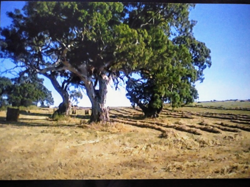 159 Eden Valley Road, Springton SA 5235