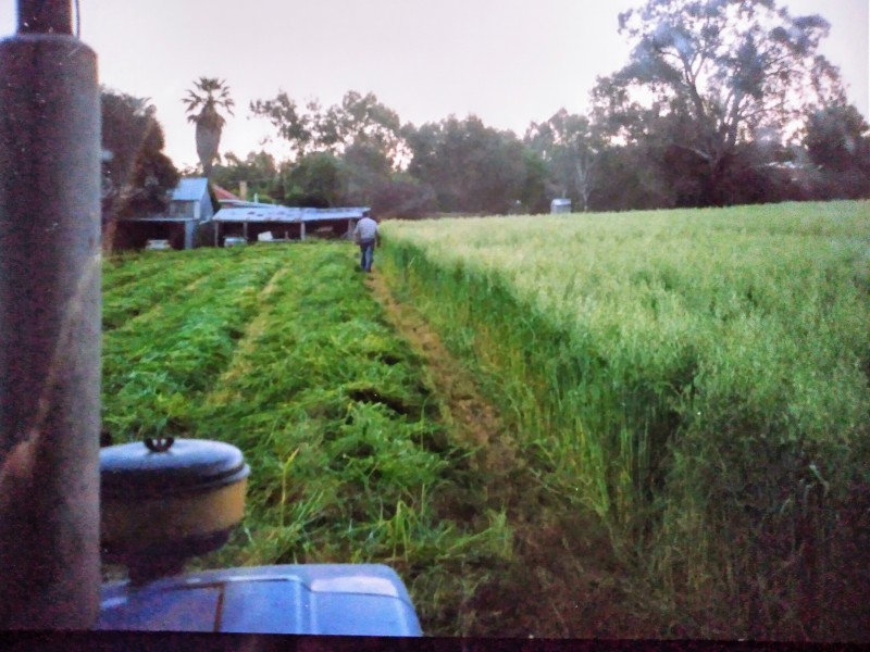 159 Eden Valley Road, Springton SA 5235