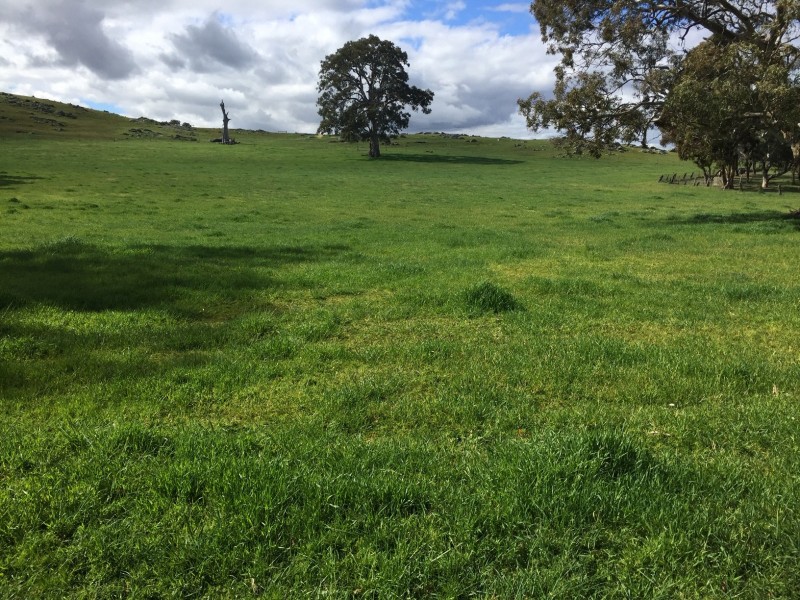 159 Eden Valley Road, Springton SA 5235