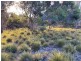245 Arafura Avenue – Kangaroo Island, Island Beach SA 5222
