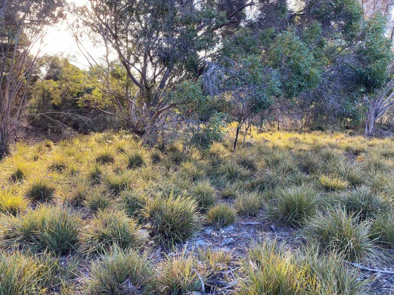 245 Arafura Avenue – Kangaroo Island, Island Beach SA 5222