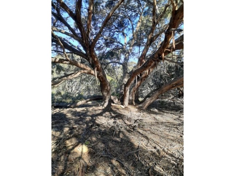 245 Arafura Avenue – Kangaroo Island, Island Beach SA 5222