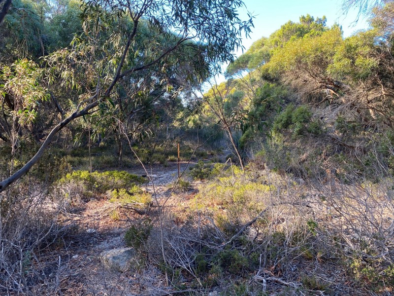 245 Arafura Avenue – Kangaroo Island, Island Beach SA 5222