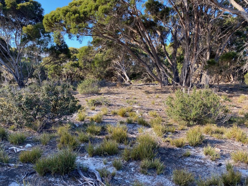 245 Arafura Avenue – Kangaroo Island, Island Beach SA 5222