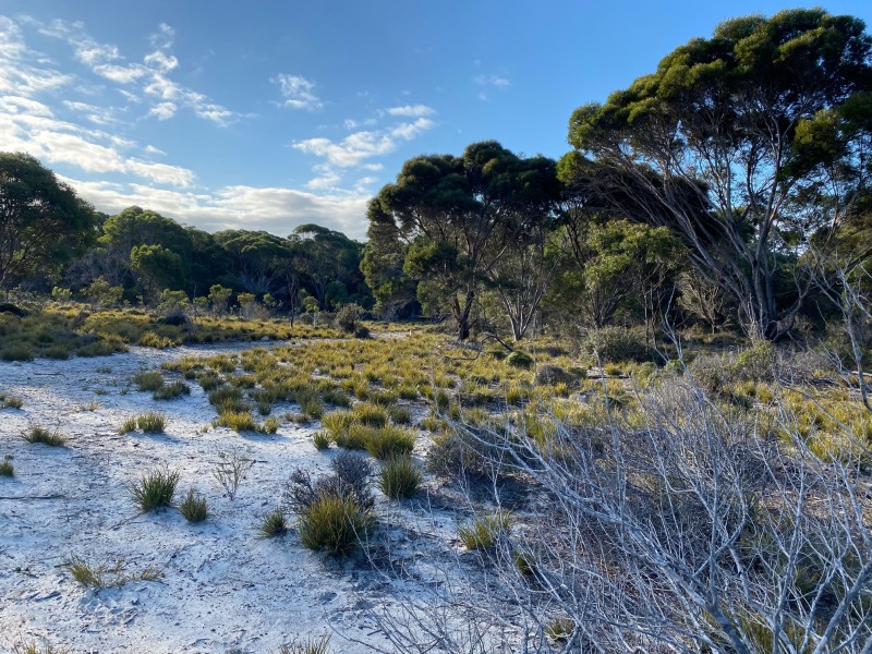 245 Arafura Avenue – Kangaroo Island, Island Beach SA 5222