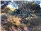 245 Arafura Avenue – Kangaroo Island, Island Beach SA 5222