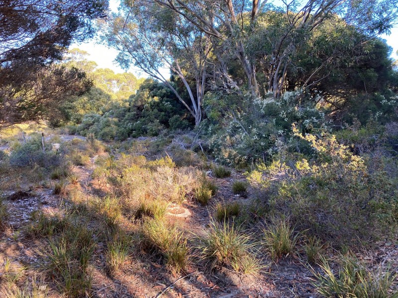 245 Arafura Avenue – Kangaroo Island, Island Beach SA 5222