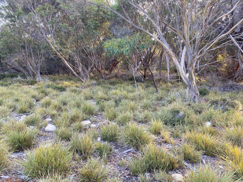 245 Arafura Avenue – Kangaroo Island, Island Beach SA 5222