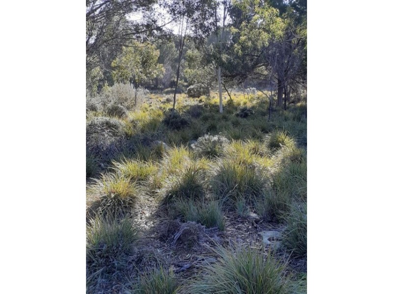 245 Arafura Avenue – Kangaroo Island, Island Beach SA 5222