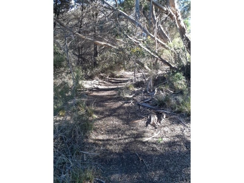 245 Arafura Avenue – Kangaroo Island, Island Beach SA 5222