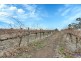 82 Koop Creek Road (Springton Hills Wines), Springton SA 5235