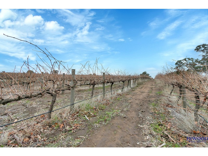 82 Koop Creek Road (Springton Hills Wines), Springton SA 5235