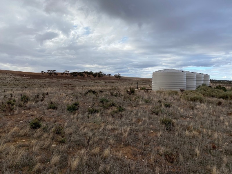 523 Black Hill Road, Cambrai SA 5353