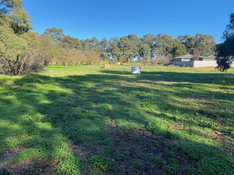 120 and 122 Burleigh Street, Langhorne Creek SA 5255