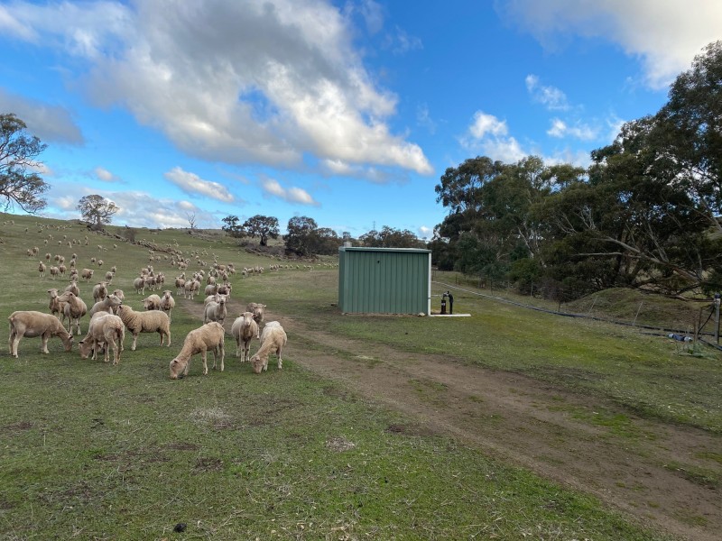 15 Humbles Road, Springton SA 5235