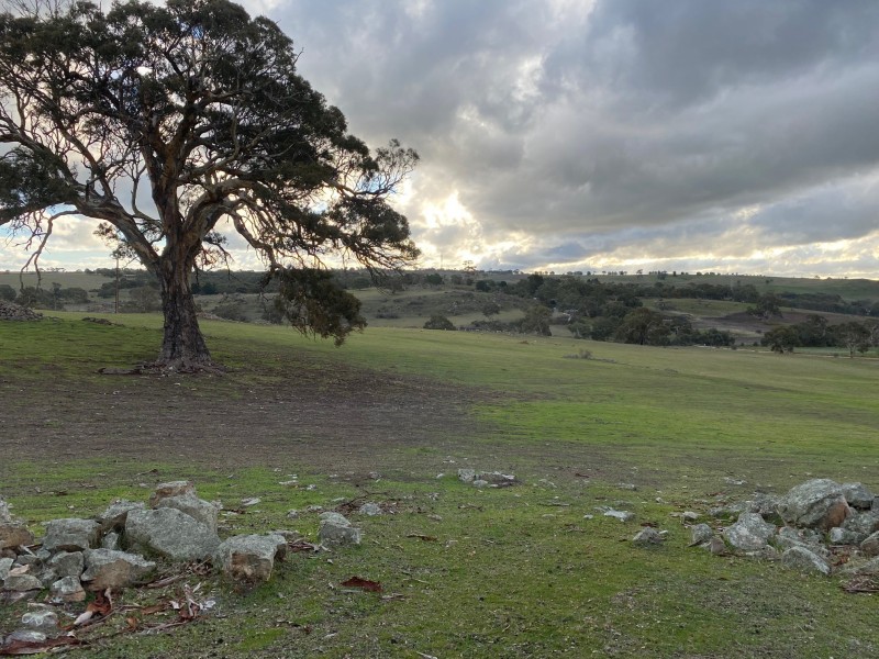 15 Humbles Road, Springton SA 5235