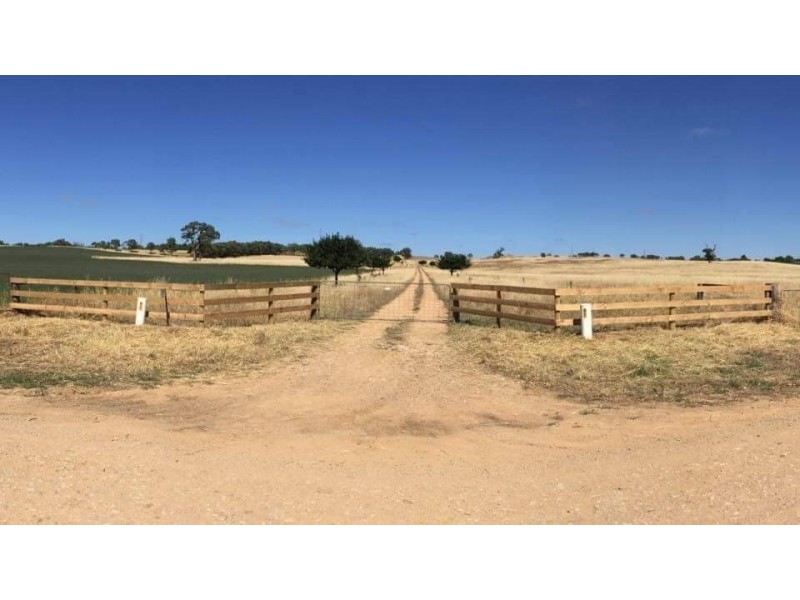 652 Cookes Hill Road, Springton SA 5235