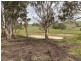 652 Cookes Hill Road, Springton SA 5235