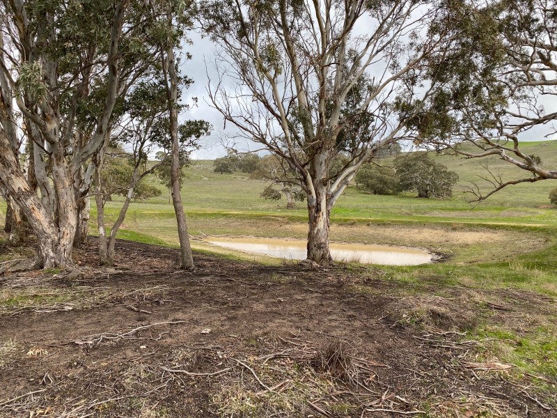 652 Cookes Hill Road, Springton SA 5235