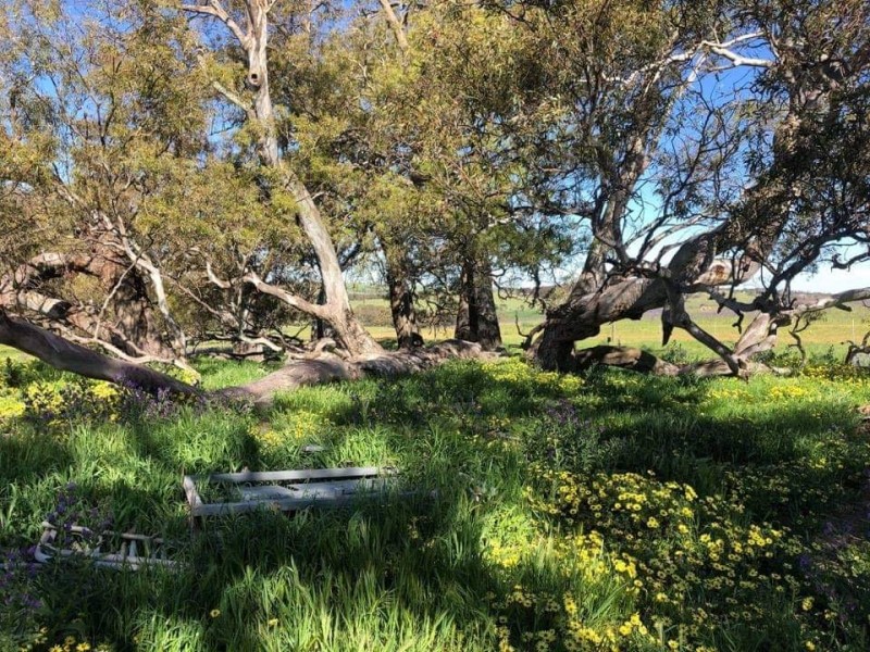 652 Cookes Hill Road, Springton SA 5235