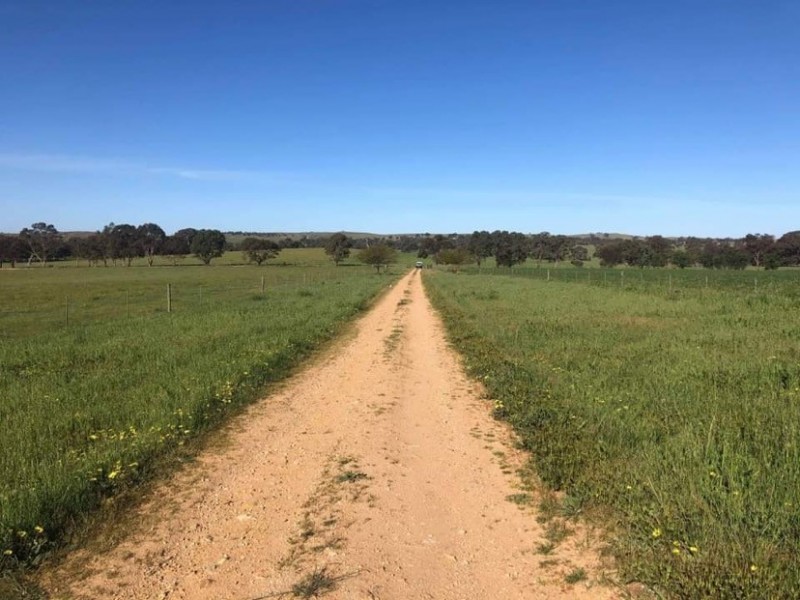 652 Cookes Hill Road, Springton SA 5235