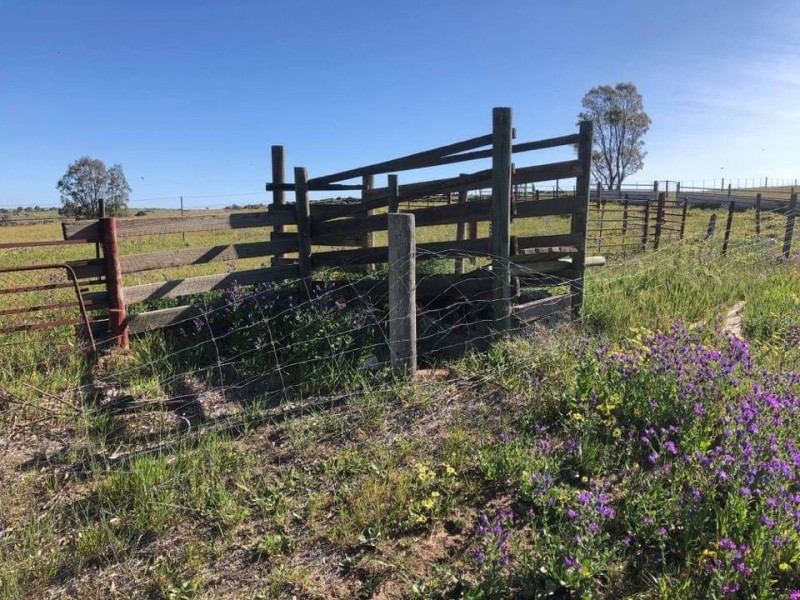 652 Cookes Hill Road, Springton SA 5235