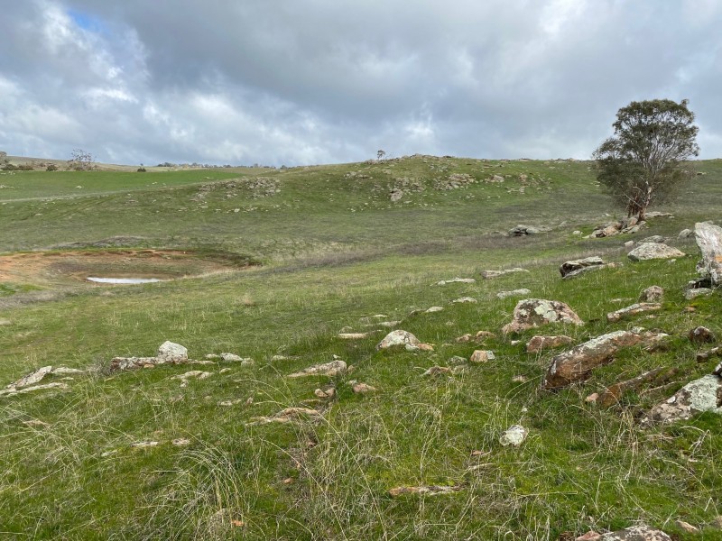 652 Cookes Hill Road, Springton SA 5235