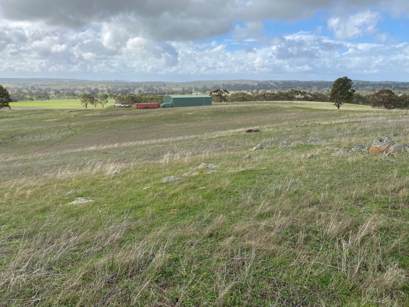 652 Cookes Hill Road, Springton SA 5235