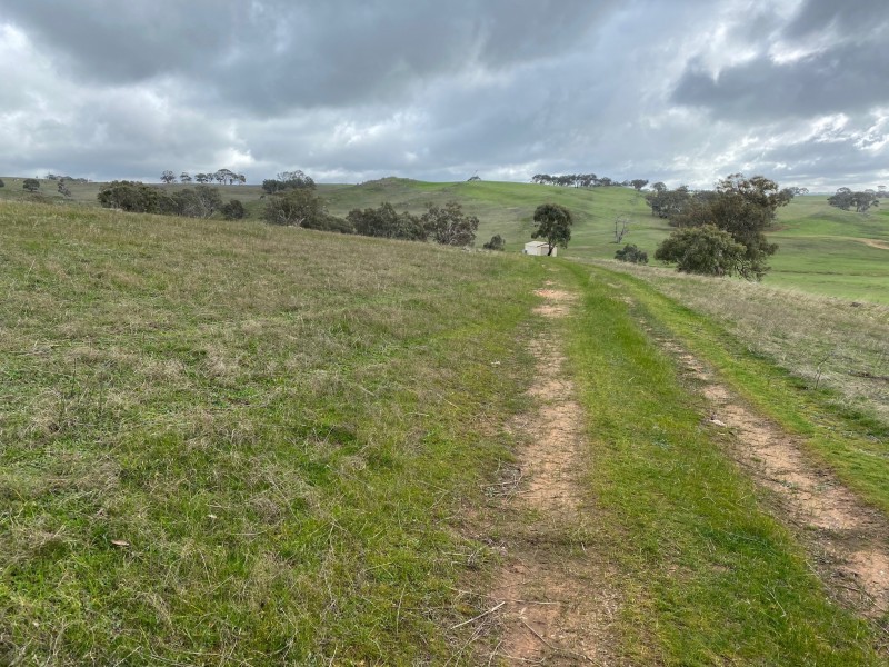 652 Cookes Hill Road, Springton SA 5235