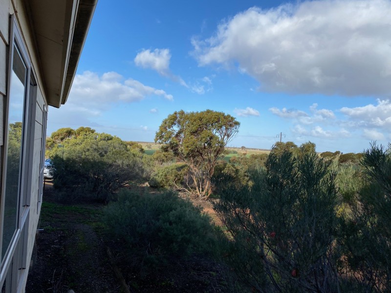 343 Sanderston Road, Sanderston SA 5237