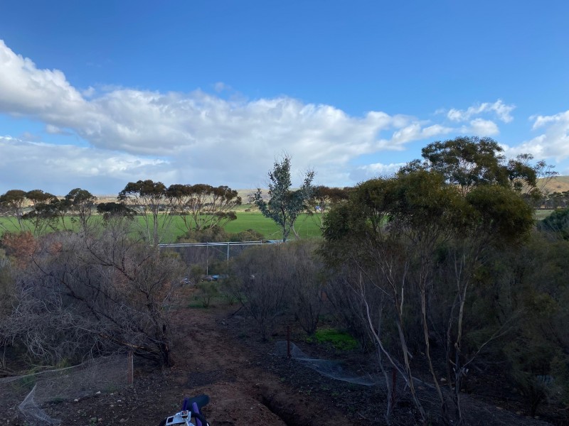 343 Sanderston Road, Sanderston SA 5237