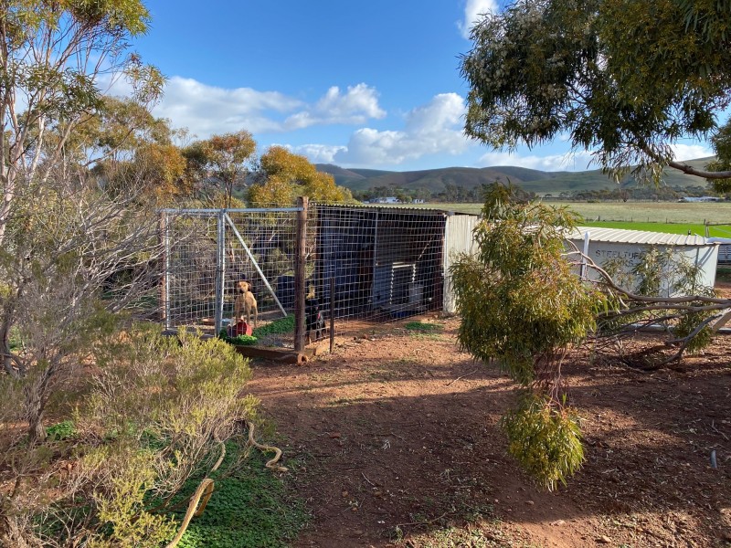 343 Sanderston Road, Sanderston SA 5237