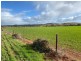 343 Sanderston Road, Sanderston SA 5237