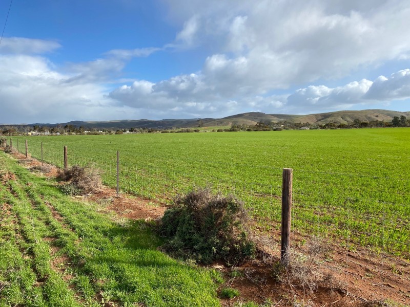 343 Sanderston Road, Sanderston SA 5237