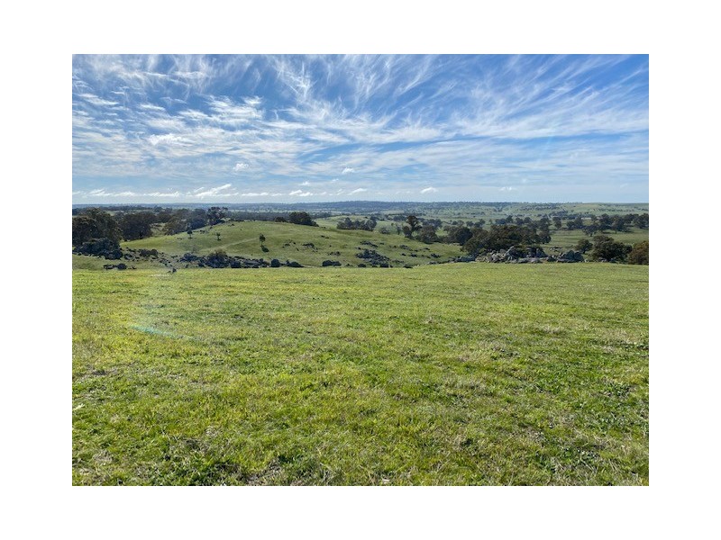 338 Keynes Hill Road, Keyneton SA 5353