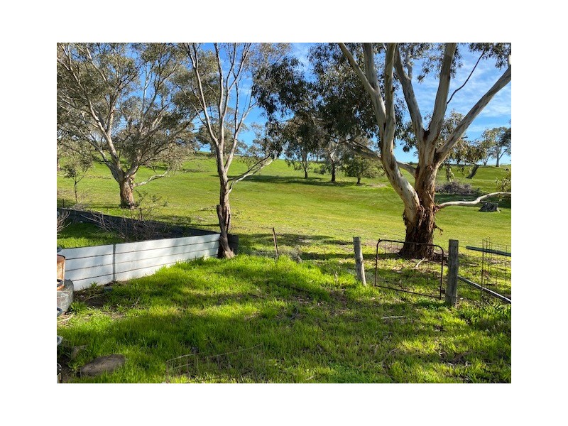 338 Keynes Hill Road, Keyneton SA 5353