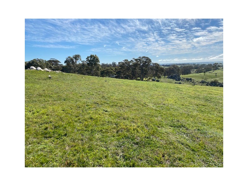 338 Keynes Hill Road, Keyneton SA 5353