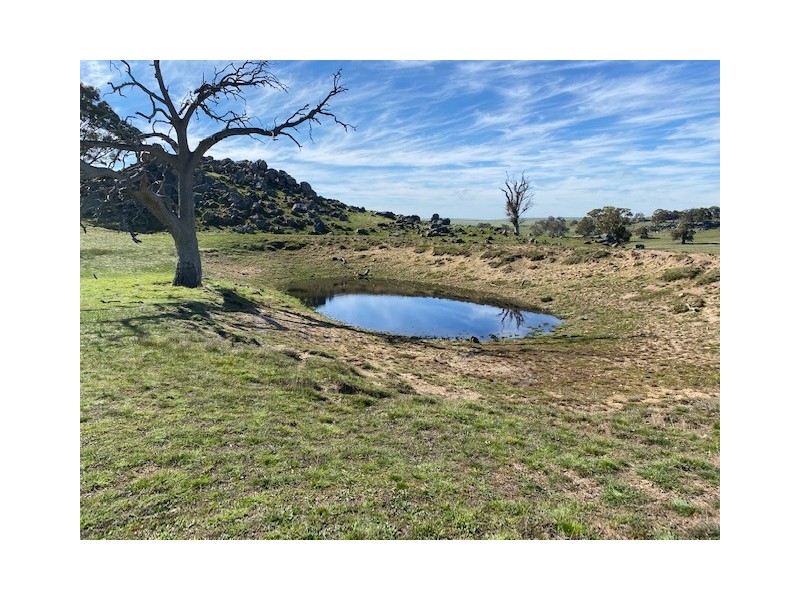 338 Keynes Hill Road, Keyneton SA 5353