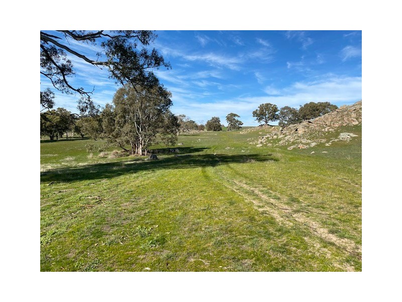 338 Keynes Hill Road, Keyneton SA 5353