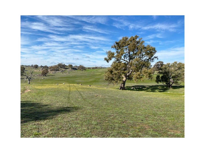 338 Keynes Hill Road, Keyneton SA 5353