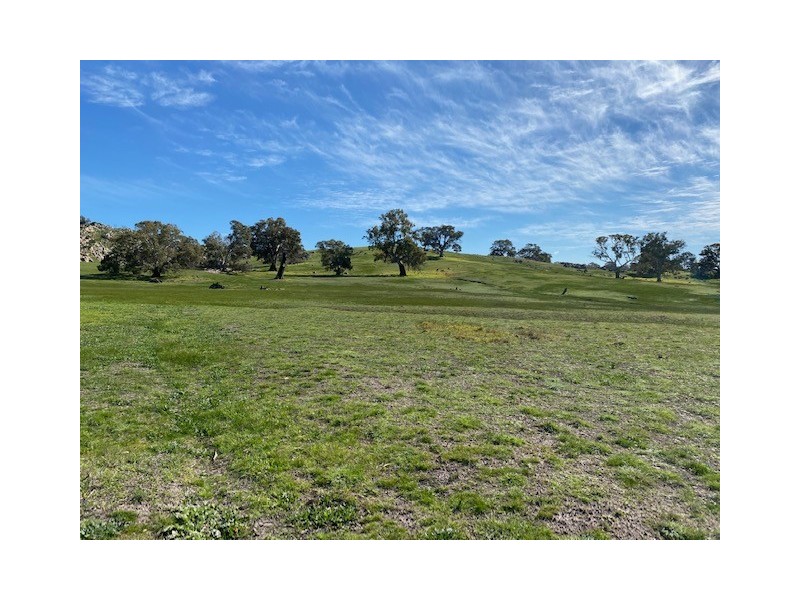 338 Keynes Hill Road, Keyneton SA 5353