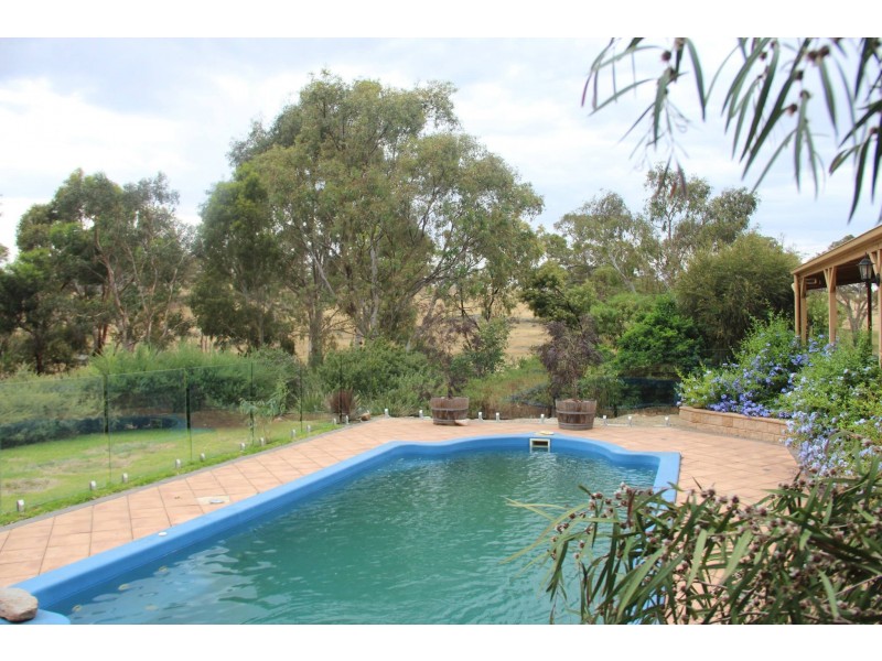 128 Murray Road, Keyneton SA 5353