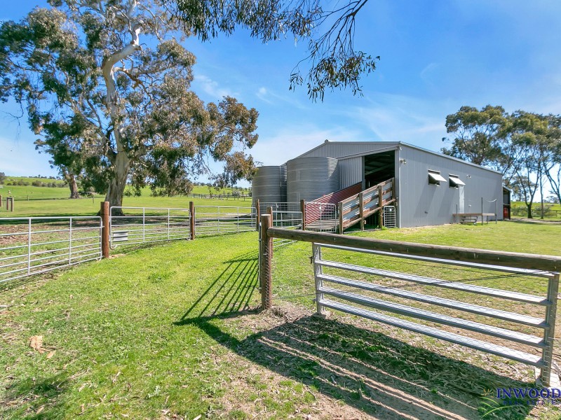 128 Murray Road, Keyneton SA 5353