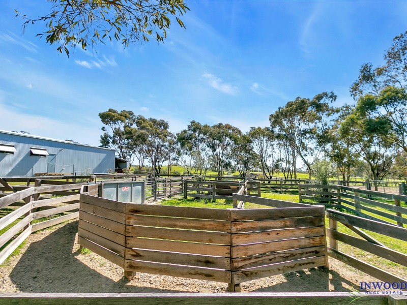 128 Murray Road, Keyneton SA 5353